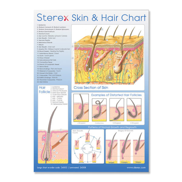 Sterex Skin & Hair Chart A2 Size