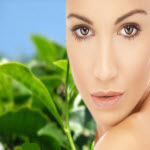 Jozelle Green Tea Intensive Moisturizer 1Ltr